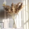 pampas grass decor plants home wedding decor dried flowers bunch feather flowers natural phragmites tall 20-22'' plastic vase
