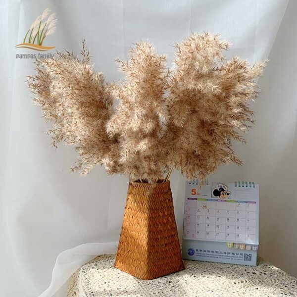 pampas grass decor plants home wedding decor dried flowers bunch feather flowers natural phragmites tall 20-22'' plastic vase