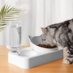 cat accessories products pet Double bowls plastic cat dog bowls Automatically add water Used to drink and eat bowls with stand