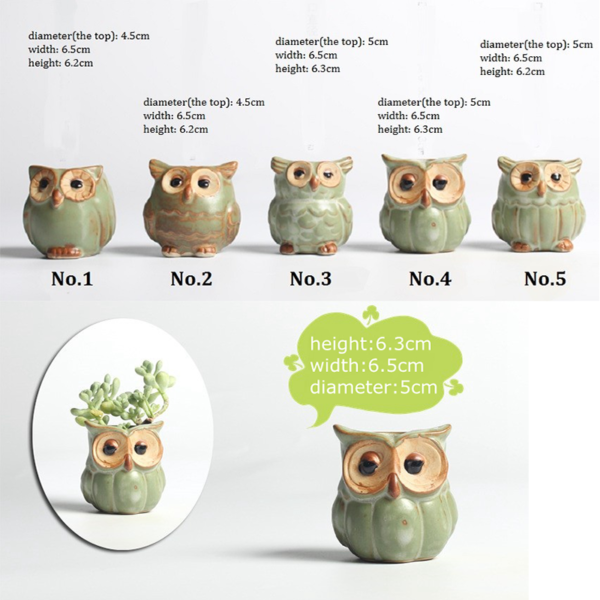 5Pcs/Set Ceramic Owl Shape Garden Flower Pot Desk Plant Pot Creative Design Succulent Planter Pot Home Garden Decoration outdoor
