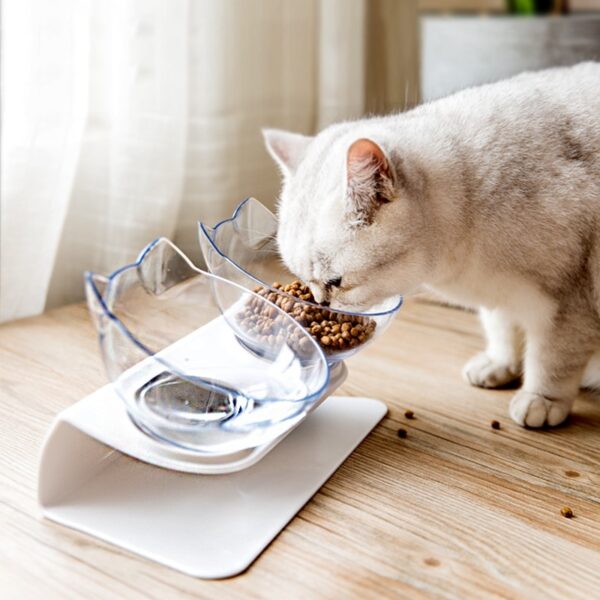 Pet Bowls Dog Food Water Feeder Pet Drinking Dish Feeder Cat Puppy With Raised Feeding Supplies Small Dog Accessories Pet Produc