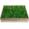 1000g Simulation Plants Eternal Life Moss /Garden Home Decor Wall DIY Flower Material Mini Garden Micro Landscape Fake Moss Gift