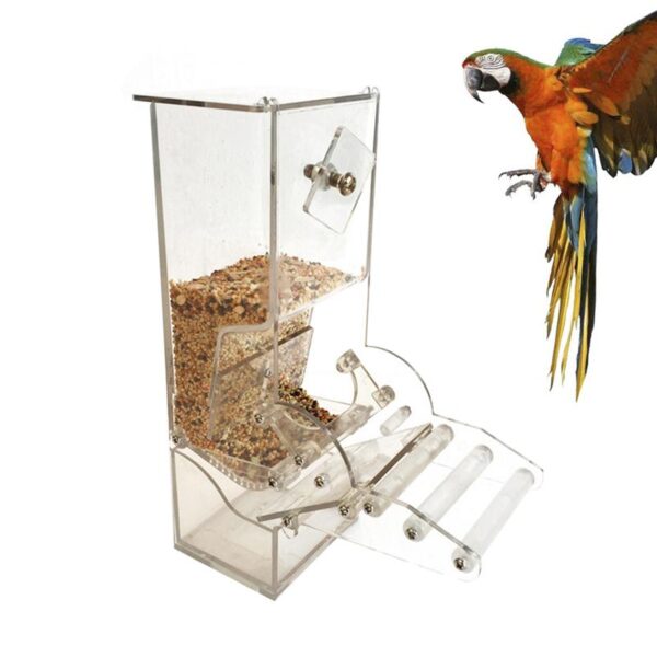 Acrylic Parrot Feeding Case Automatical Bird Feeder Box Parrot Cage Accessory