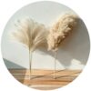 8pcs/10pcs/20 Pcs real dried small pampas grass wedding flower bunch natural plants decor home decor dried flowers Free shipping