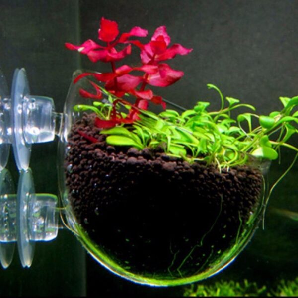 Nicrew Aquarium decoration fish tank Mini Crystal Glass Pot Polka Water potted planting cylinder cup aquarium accessories