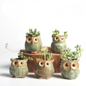 5Pcs/Set Ceramic Owl Shape Garden Flower Pot Desk Plant Pot Creative Design Succulent Planter Pot Home Garden Decoration outdoor
