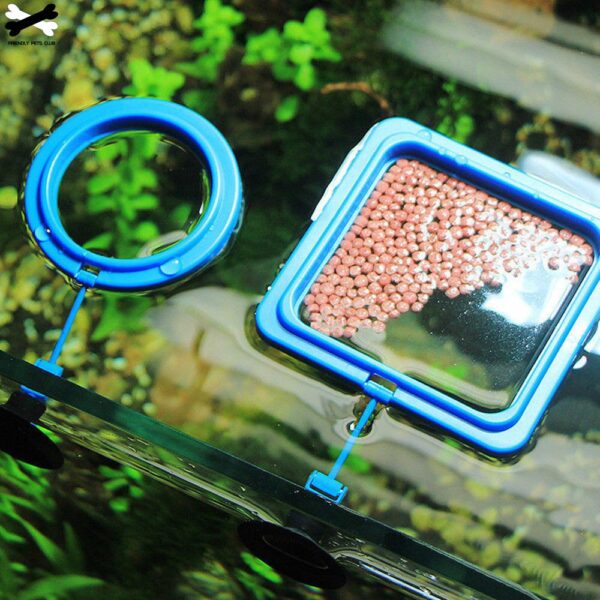 New Aquarium Feeding Ring Fish Tank Station Floating Food Tray Feeder Square Circle Accessory Water Plant Buoyancy Suction Cup 2
