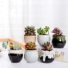 6Pcs Succulent Plant Pot Creative Ceramic Flower Pot Variable Flow Glaze For Home Room Office Seedsplant Plant Pot Without Plant