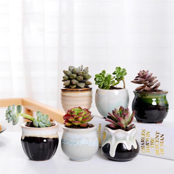 6pcs Creative Ceramic Succulent Plant Flower Pot Variable Flow Glaze For Home Room Office Seedsplants Plant Pot Without Plant
