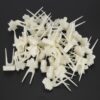 50PCS Plastic Compact Pet Fruit Fork Birds Food Feeder Tool Accessory for Parrots Hamster Supplies